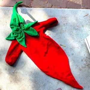❌ SOLD ❌ Newborn chili pepper 🌶 bunting